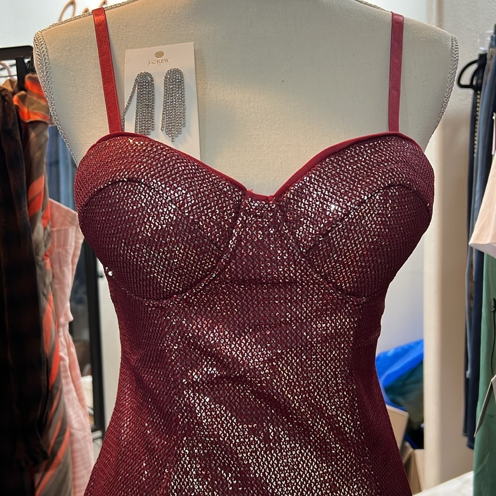 NWT bundle bodycon dress and earrings - Picture 5 of 6